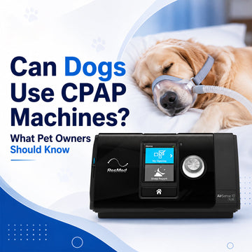 Can Dogs Use CPAP Machines? What Pet Owners Should Know